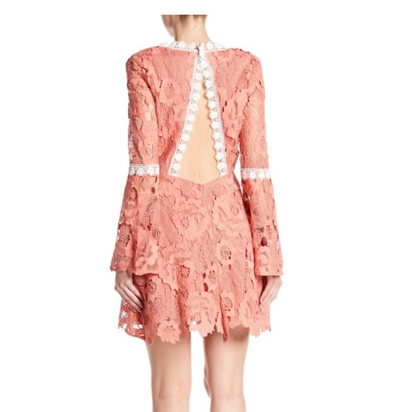 Alexia Admor Ruffled Long Sleeve Lace Dress (S)NWT - Picture 8 of 8